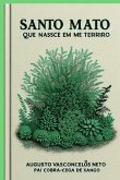 Santo Mato (eBook, PDF)