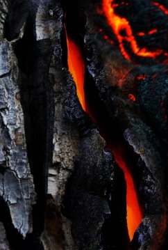 Cover O Resert Da Raça Humana (eBook, PDF)