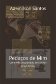 Pedaços De Mim (eBook, PDF)