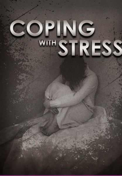 Lidar Com O Estresse (eBook, PDF)