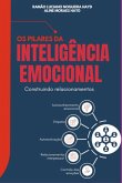Os 5 Pilares Da Inteligência Emocional (eBook, PDF)