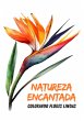 Natureza Encantada (eBook, PDF) - Bild 1
