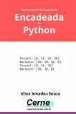 Implementando Lista Duplamente Encadeada Em Python (eBook, PDF)