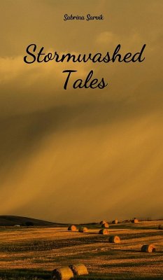 Cover Stormwashed Tales