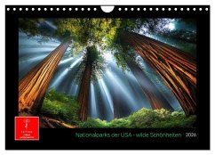 Cover Nationalparks der USA - wilde Schönheiten (Wandkalender 2026 DIN A4 quer), CALVENDO Monatskalender