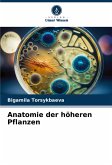 Anatomie der höheren Pflanzen