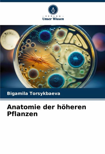 Anatomie der höheren Pflanzen Anatomie der höheren Pflanzen