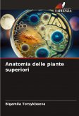 Anatomia delle piante superiori