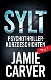 Sylt (eBook, ePUB)