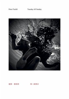 Cover Peter Fischli. Tuesday till Sunday
