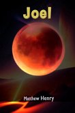 Joel (eBook, ePUB)
