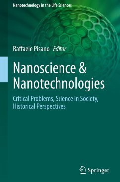 Cover Nanoscience & Nanotechnologies