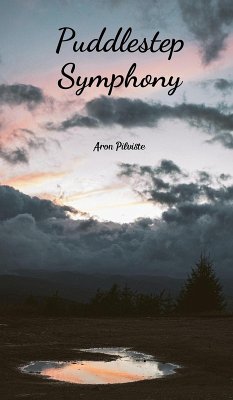 Cover Puddlestep Symphony