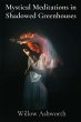 Mystical Meditations in Shadowed... - Bild 1