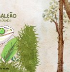 O Camaleão Cambalhota (eBook, ePUB)