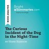 The Curious Incident of the Dog in the... - Bild 1