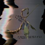 Trill Scan Trill Scan