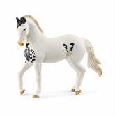 Schleich 14898 - Horse Club, Marwari Hengst, Tierfigur, Länge: 13,3 cm Schleich 14898 - Horse Club, Marwari Hengst, Tierfigur, Länge: 13,3 cm