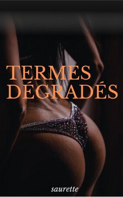 Cover Termes Dégradés (eBook, ePUB)