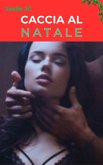 Caccia al Natale (eBook, ePUB)