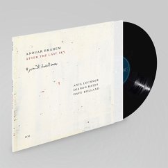 Cover After The Last Sky