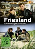 Friesland - Sterneduell / Sturmmöwen