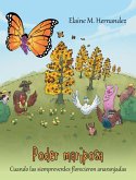 Poder mariposa (eBook, ePUB)