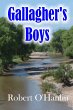 Gallagher's Boys (eBook, ePUB) - Bild 1