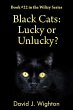 Black Cats: Lucky or Unlucky? (Wilizy,... - Bild 1