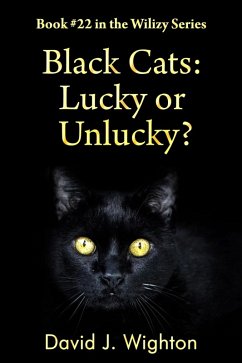 Cover Black Cats: Lucky or Unlucky? (Wilizy, #22) (eBook, ePUB)