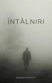 Întâlniri (eBook, ePUB) Întâlniri (eBook, ePUB)