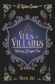 Veils and Villains (eBook, ePUB)