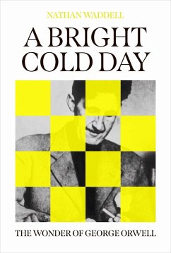 A Bright Cold Day (eBook, ePUB) - Waddell, Nathan