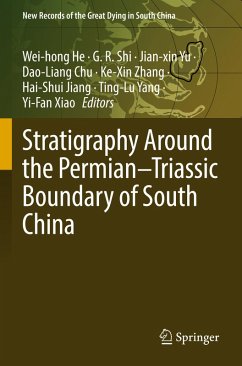 Cover Stratigraphy Around the Permian-Triassic Boundary of South China
