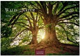 Wald & Natur Kalender 2026 Großformat 35x50cm - Natürliche Schönheit & Ruhe für jeden Monat . Wald & Natur Kalender 2026 Großformat 35x50cm - Natürliche Schönheit & Ruhe für jeden Monat .