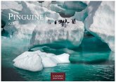 Pinguine Kalender 2026 24x35cm Wandkalender mit niedlichen Pinguin-Motiven im antarktischen Lebensraum. Pinguine Kalender 2026 24x35cm Wandkalender mit niedlichen Pinguin-Motiven im antarktischen Lebensraum.