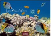 Unterwasserwelten Kalender 2026 35x50cm Großformat - Atemberaubende Meereslandschaften & Korallenriffe. Unterwasserwelten Kalender 2026 35x50cm Großformat - Atemberaubende Meereslandschaften & Korallenriffe.