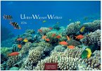 Unterwasserwelten Kalender 2026 - Wandkalender Fotokalender Naturkalender 24x35cm - Atemberaubende Meereslandschaften & Korallenriffe. Unterwasserwelten Kalender 2026 - Wandkalender Fotokalender Naturkalender 24x35cm - Atemberaubende Meereslandschaften & Korallenriffe.