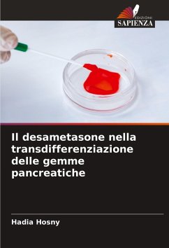 Il desametasone nella transdifferenziazione delle gemme pancreatiche - Hosny, Hadia