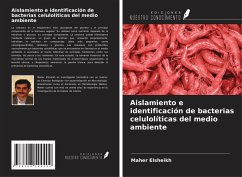 Cover Aislamiento e identificación de bacterias celulolíticas del medio ambiente