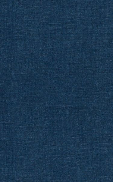 The Villain's Redemption