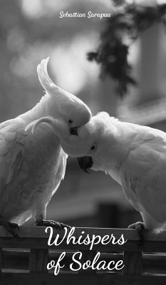 Cover Whispers of Solace