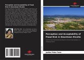 Perception and Acceptability of Flood Risk in Downtown Ricatla Perception and Acceptability of Flood Risk in Downtown Ricatla