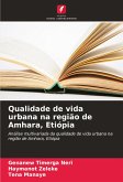 Qualidade de vida urbana na região de Amhara, Etiópia