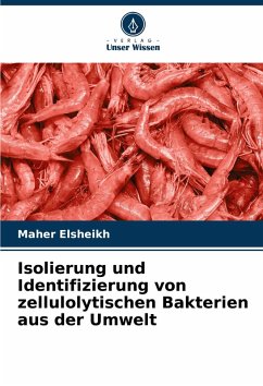 Cover Isolierung und Identifizierung von zellulolytischen Bakterien aus der Umwelt