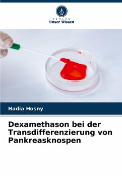 Dexamethason bei der Transdifferenzierung von Pankreasknospen - Hosny, Hadia