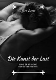 Die Kunst der Lust (eBook, ePUB)