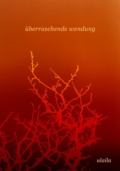 überraschende wendung (eBook, ePUB) Cover überraschende wendung (eBook, ePUB)