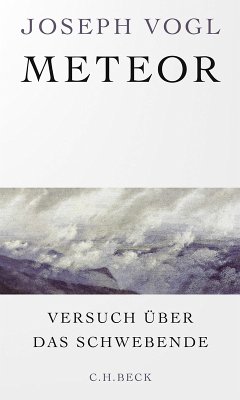 Cover Meteor (eBook, PDF)
