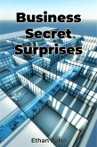 Business Secret Surprises (eBook, ePUB)